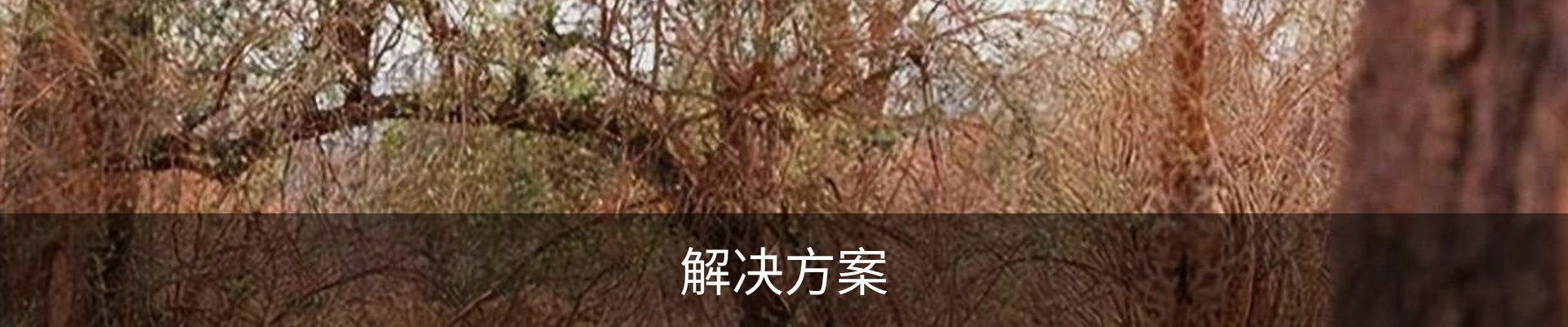 解决方案